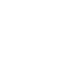 BPA Free